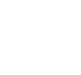 Pristine Builders